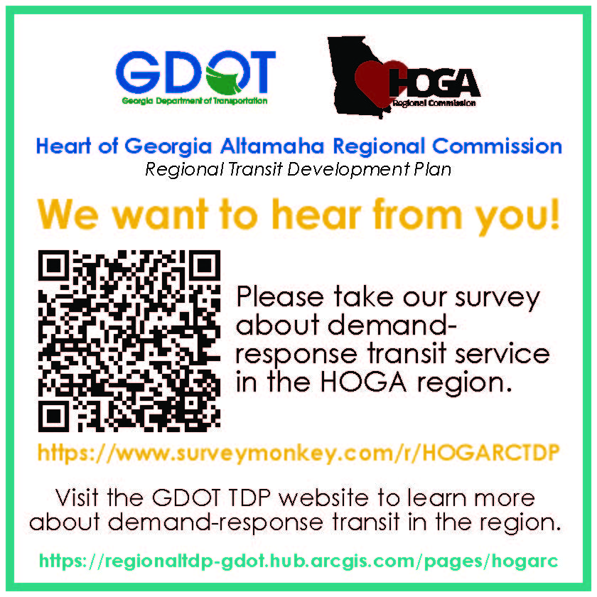 GDOT HOGARC TDP Online Survey Graphic English (1)